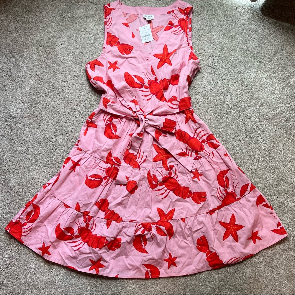 🌸NWT🌸 Women’s J CREW Sleeveless Dress Size 4